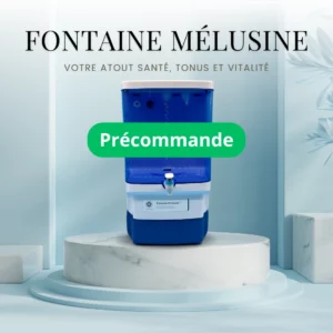 Fontaine Mélusine 5D Précommande